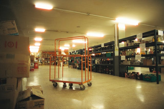 pexels adria masi 461420600 30625283